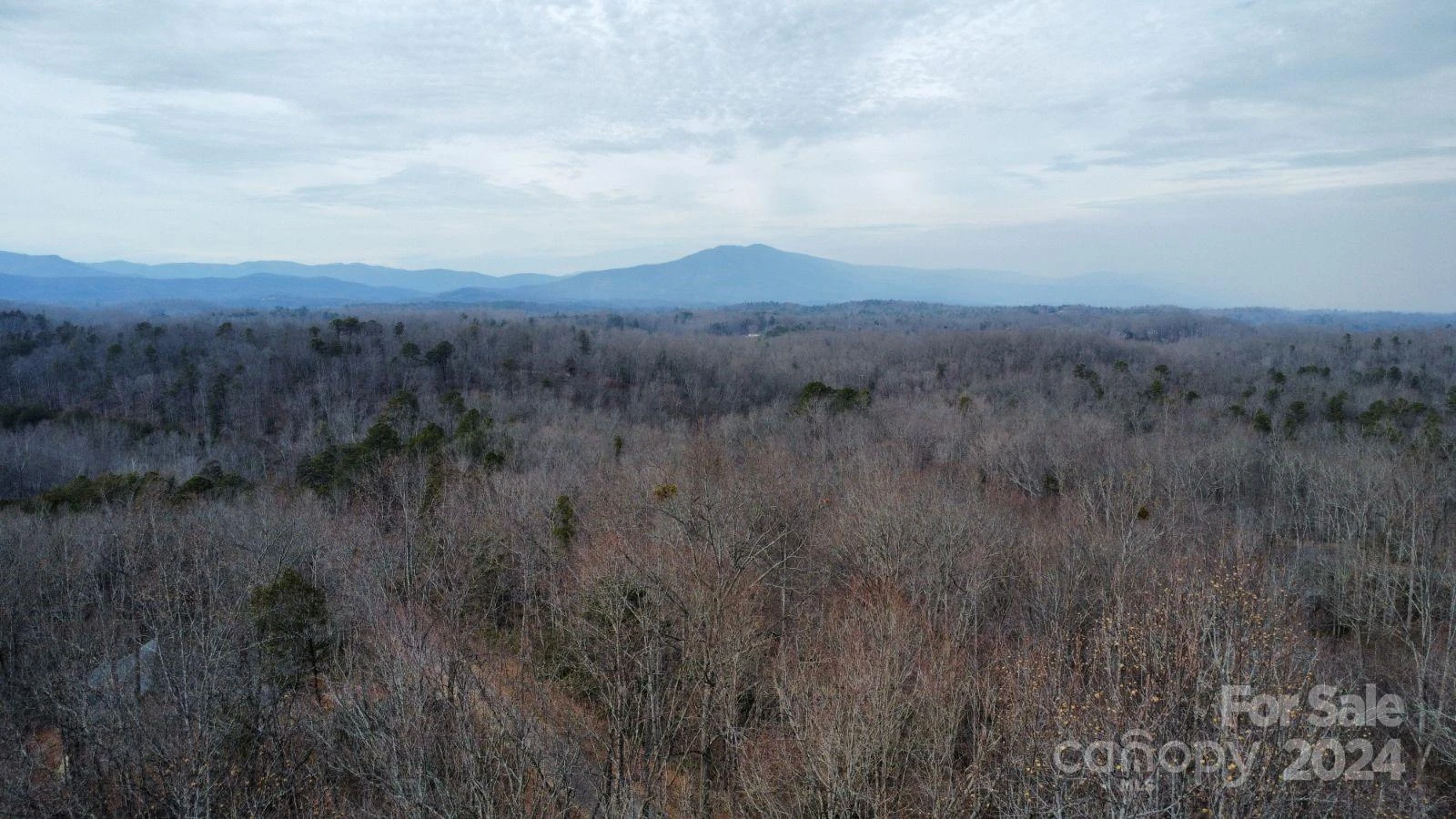 Lot #73 Black Lark Drive - Photo 3