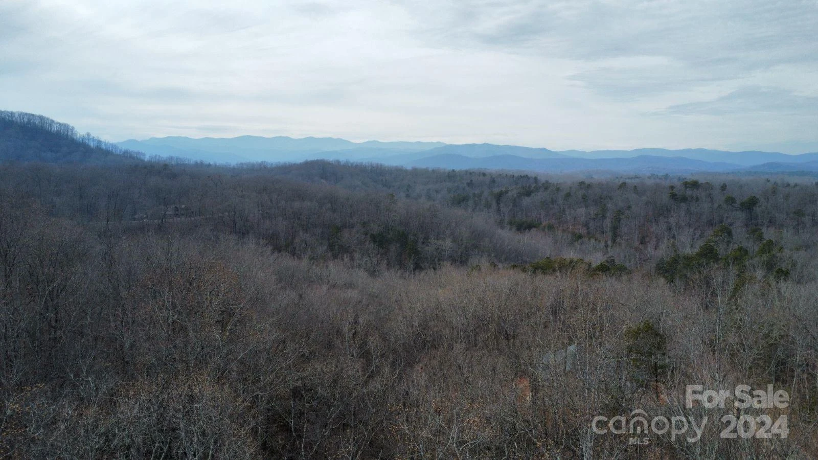 Lot #73 Black Lark Drive - Photo 4