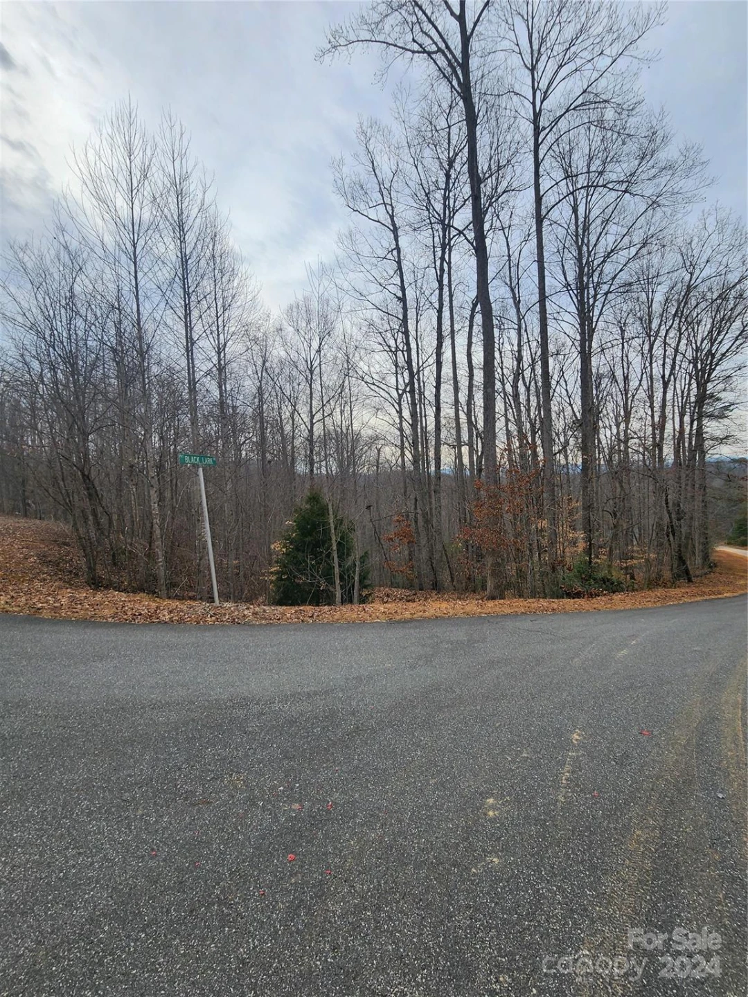 Lot #73 Black Lark Drive - Photo 6