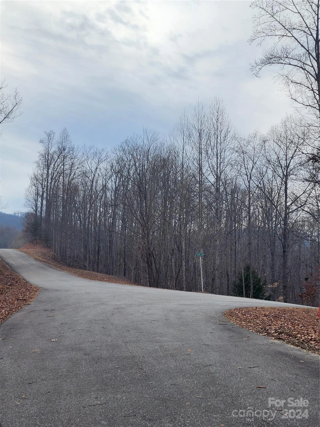 Lot #73 Black Lark Drive - Photo 9