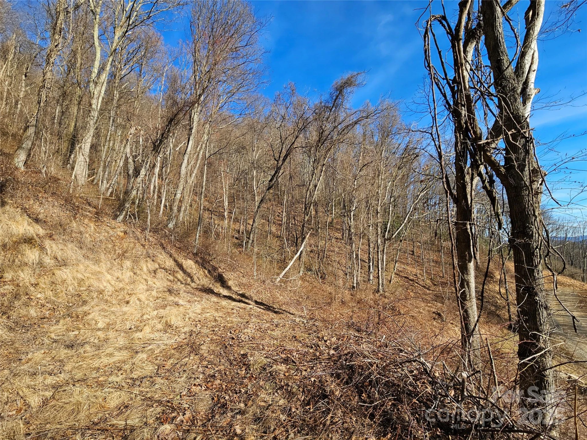 999 High Rock View Drive #36 - Photo 11