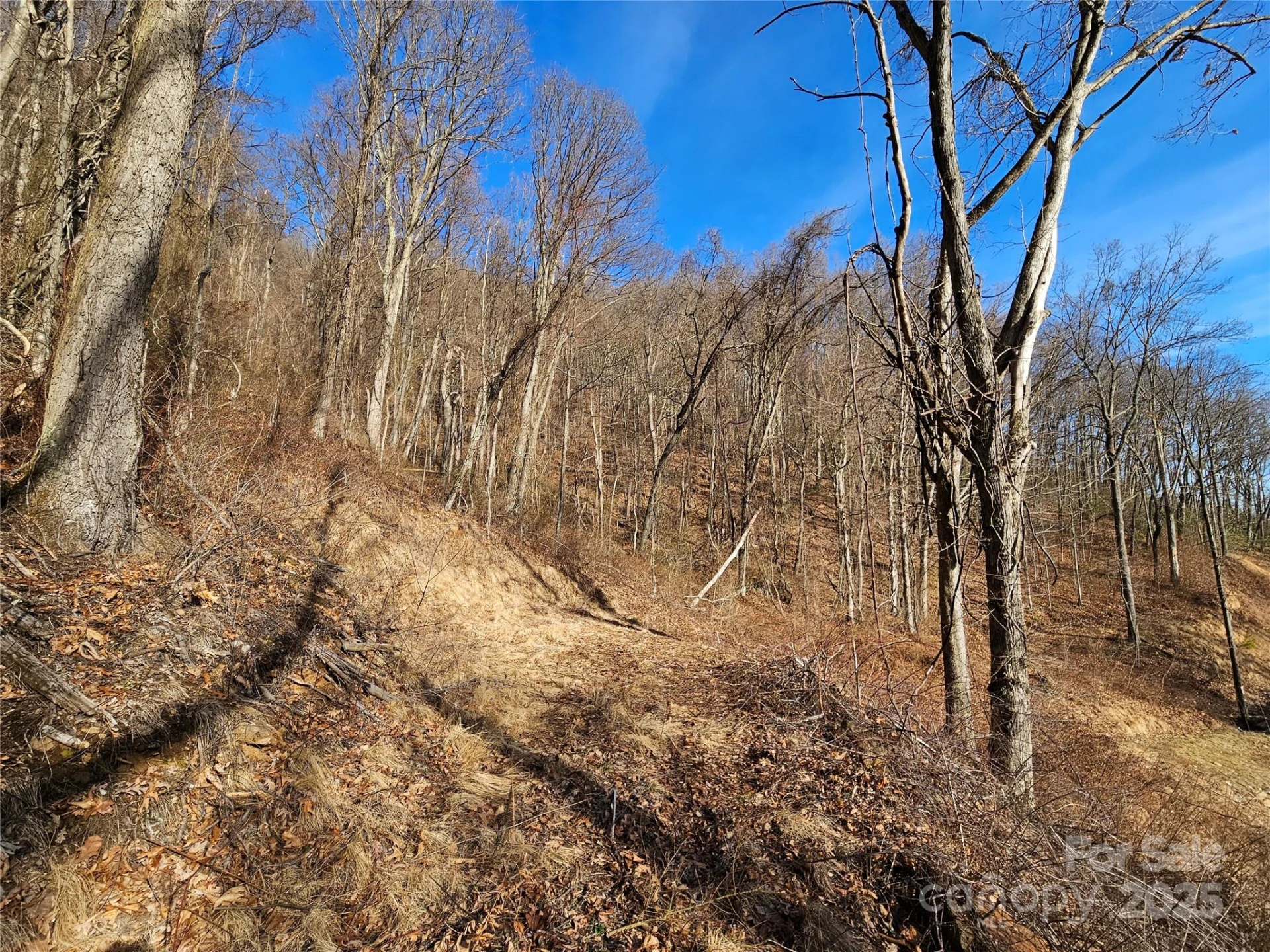 999 High Rock View Drive #36 - Photo 8