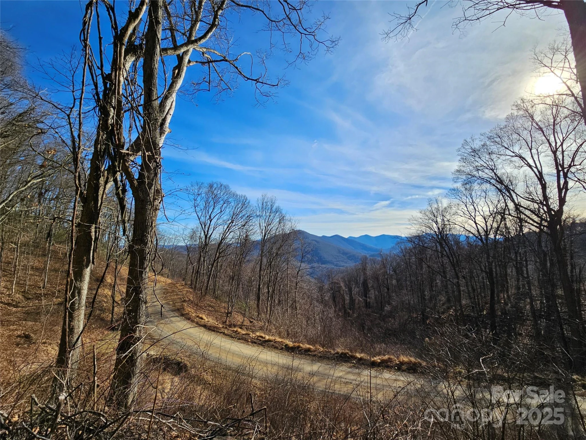 999 High Rock View Drive #36 - Photo 10