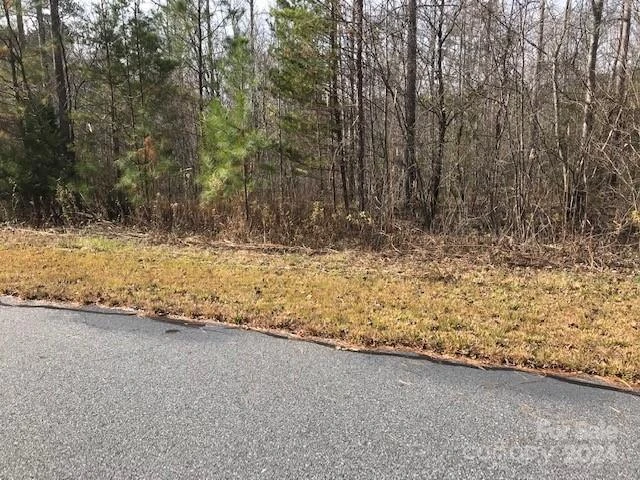 00 Woodstock Lane - Photo 5