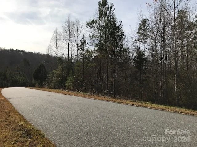 00 Woodstock Lane - Photo 10