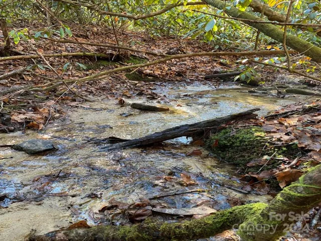 L41 Abby Falls Road, Rosman, NC, 28772