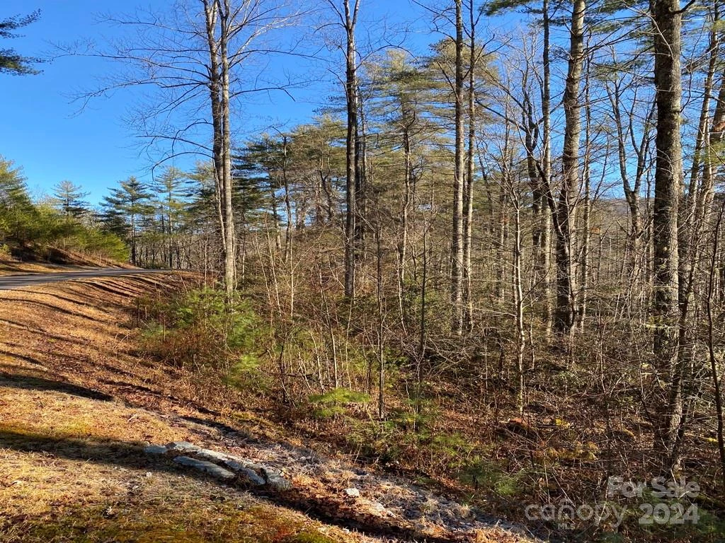 L41 Abby Falls Road #L41 - Photo 3