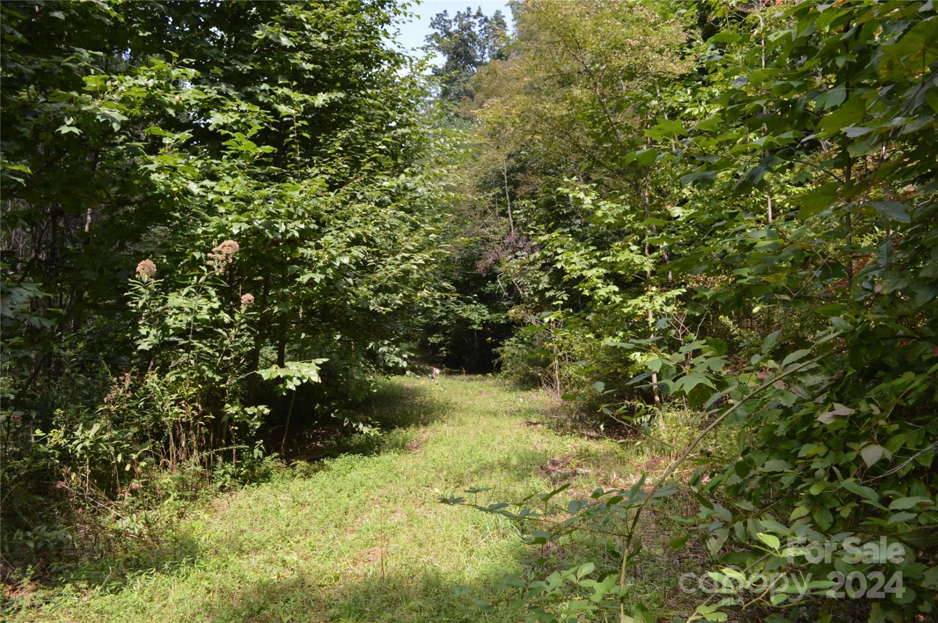 9999 Still Spring Road - Photo 3