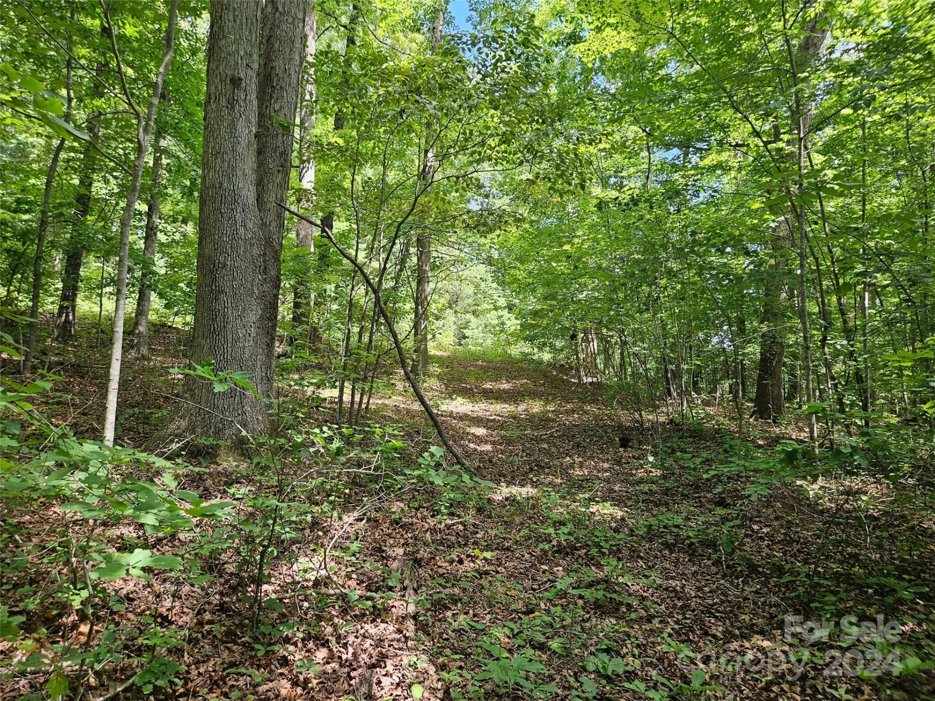 0 Broyhill Road - Photo 14