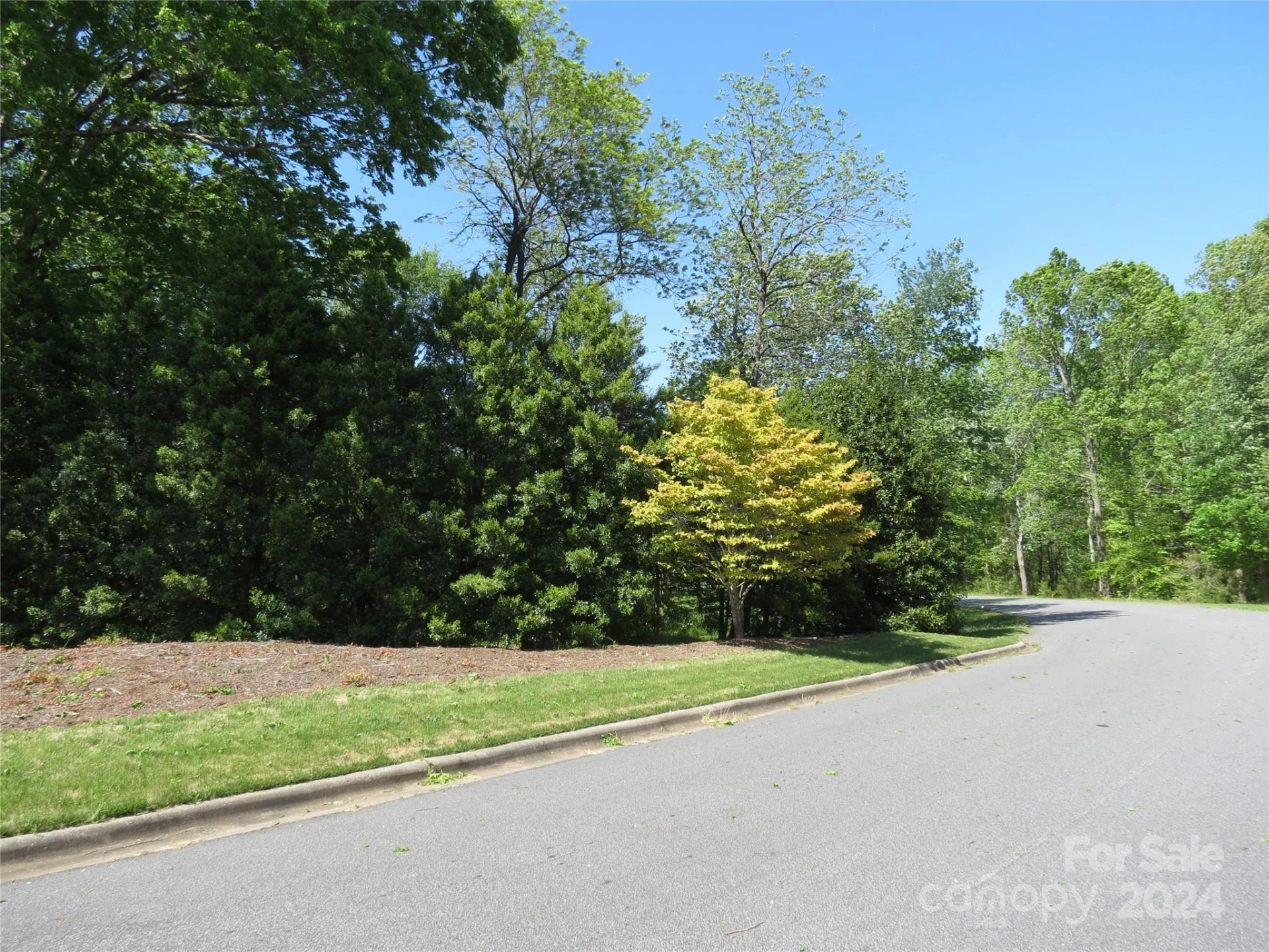 0 Broyhill Road - Photo 5