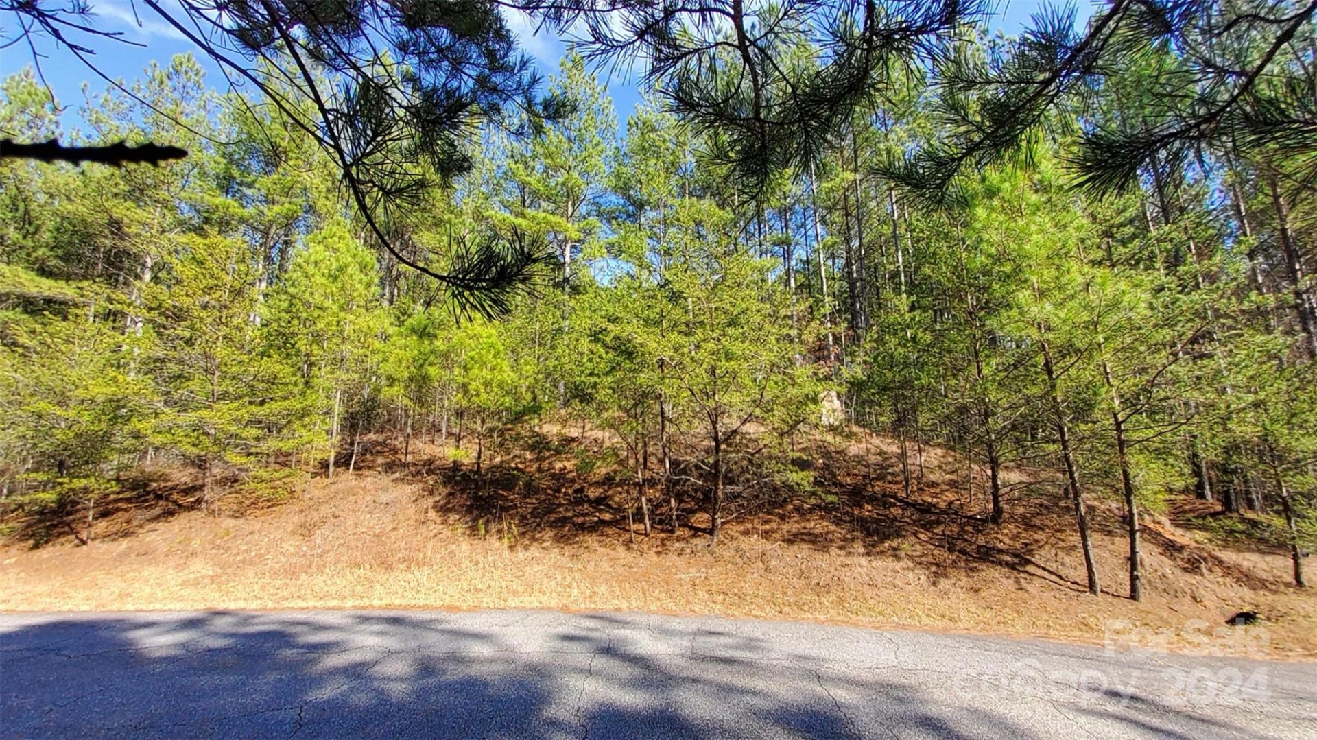 0 Sunset Drive #20 - Photo 15