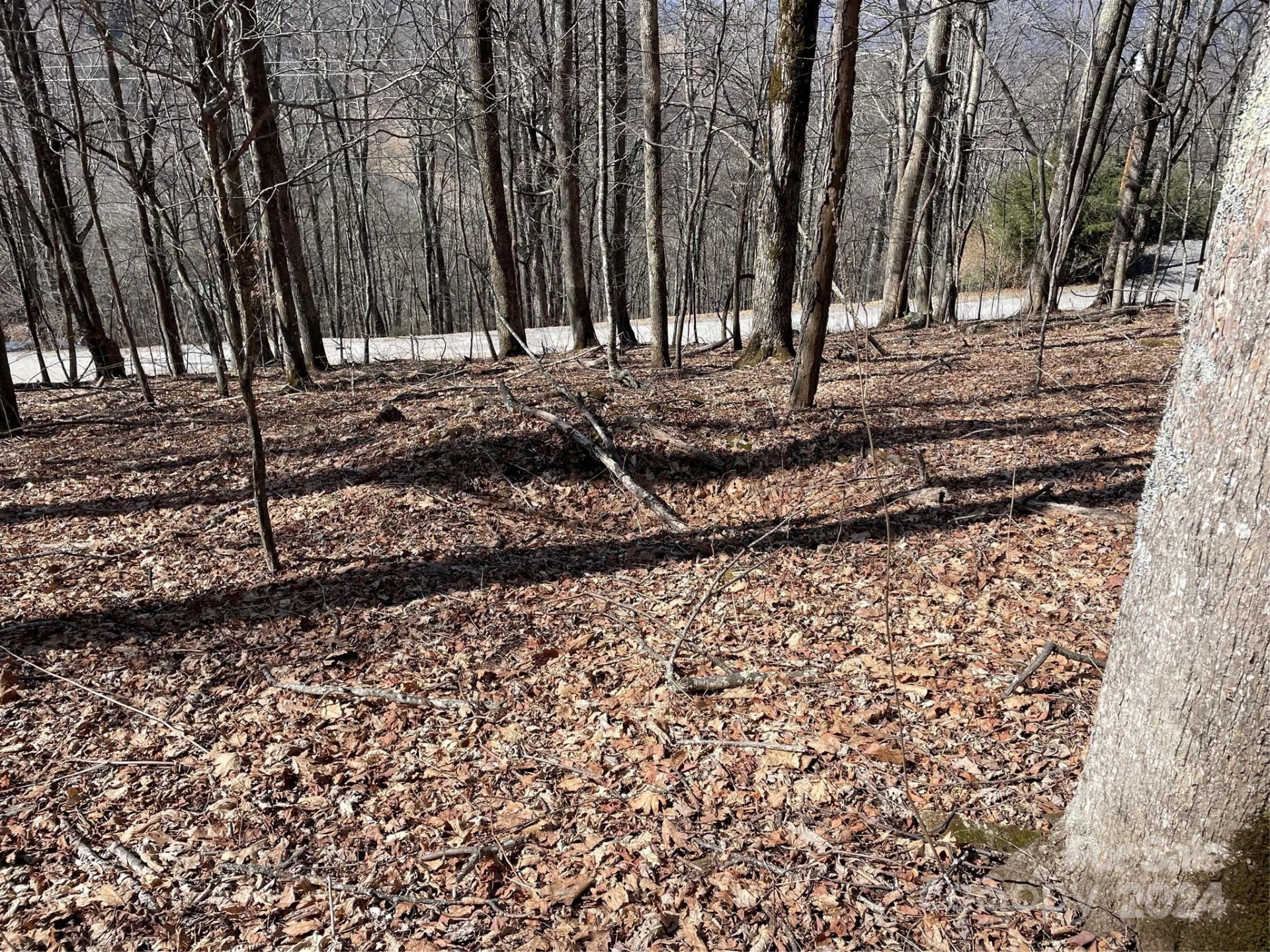 000 El Miner Drive #464 - Photo 6