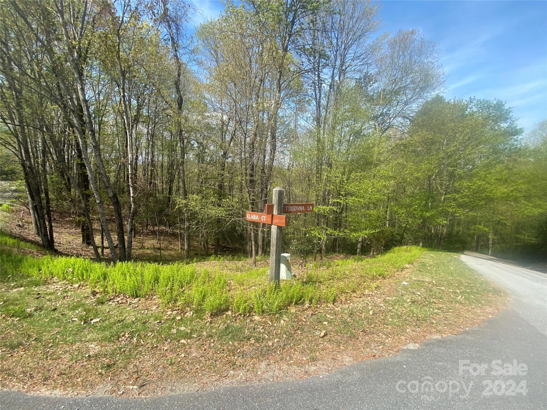 TBD Elaqua Court #54 & 55A/26 - Photo 5