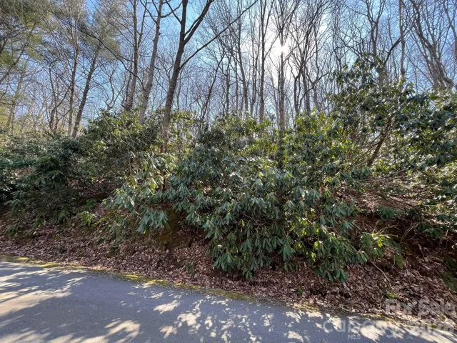 111 Deer Run Lane, Asheville, NC, 28805