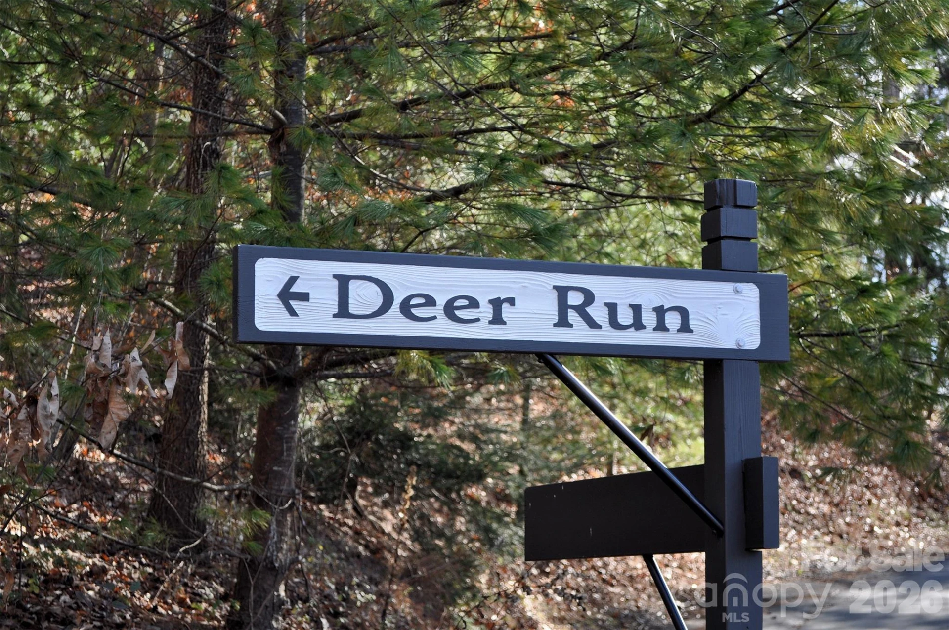 111 Deer Run Lane #40 - Photo 5