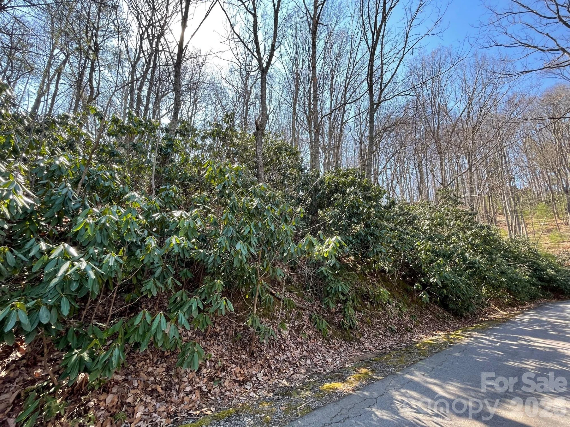 111 Deer Run Lane #40 - Photo 6