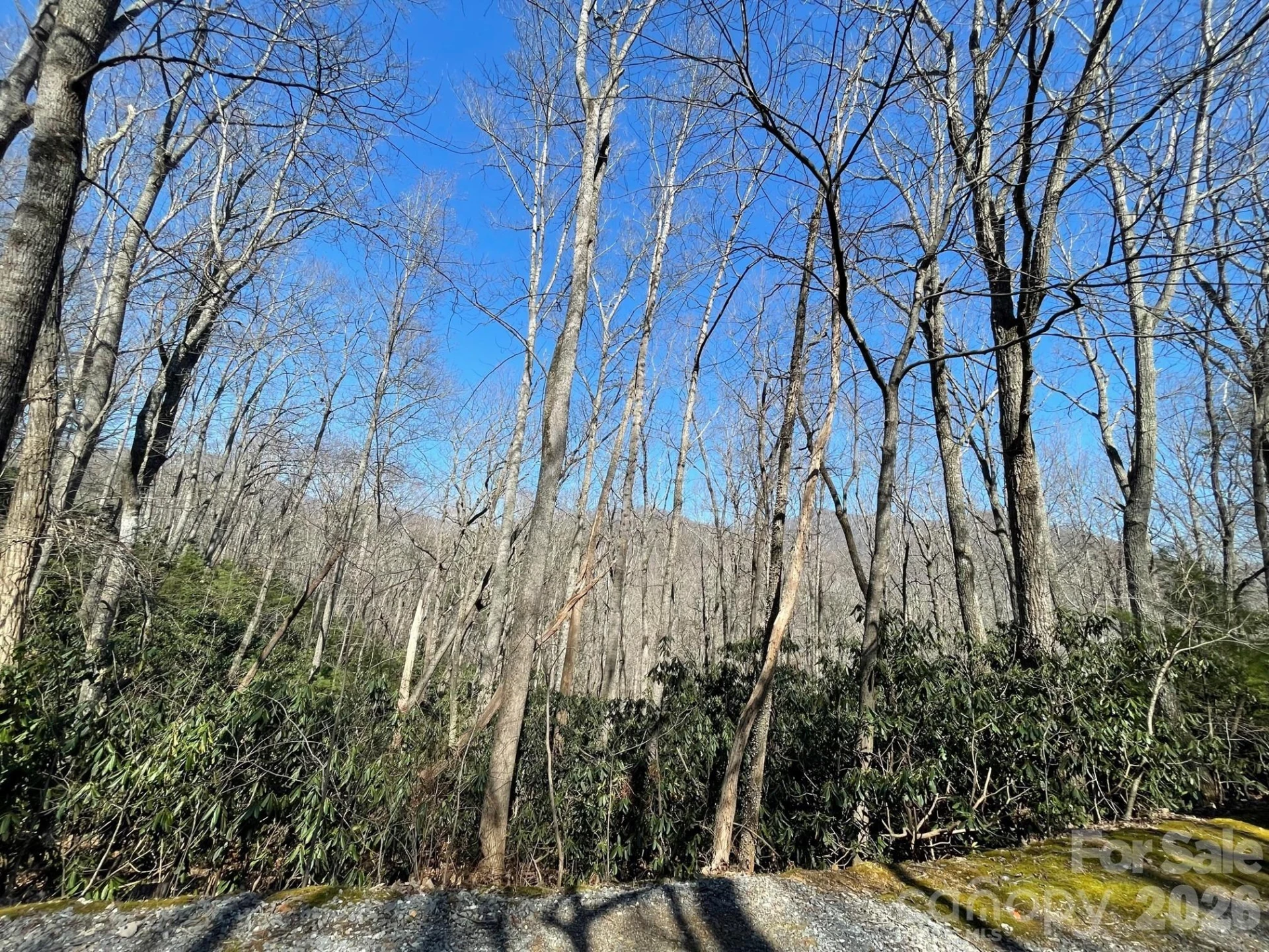 111 Deer Run Lane #40 - Photo 7