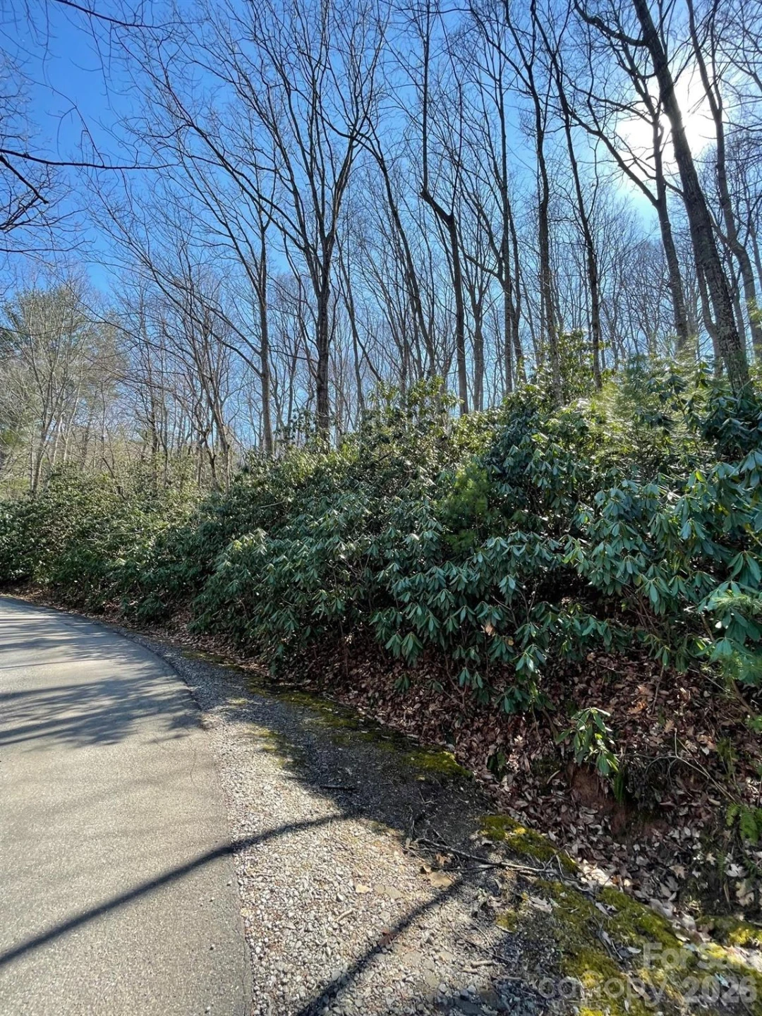 111 Deer Run Lane #40 - Photo 8