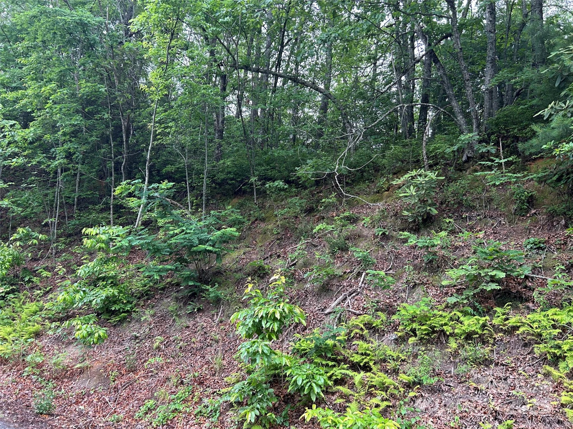 00 Howell Road - Photo 21