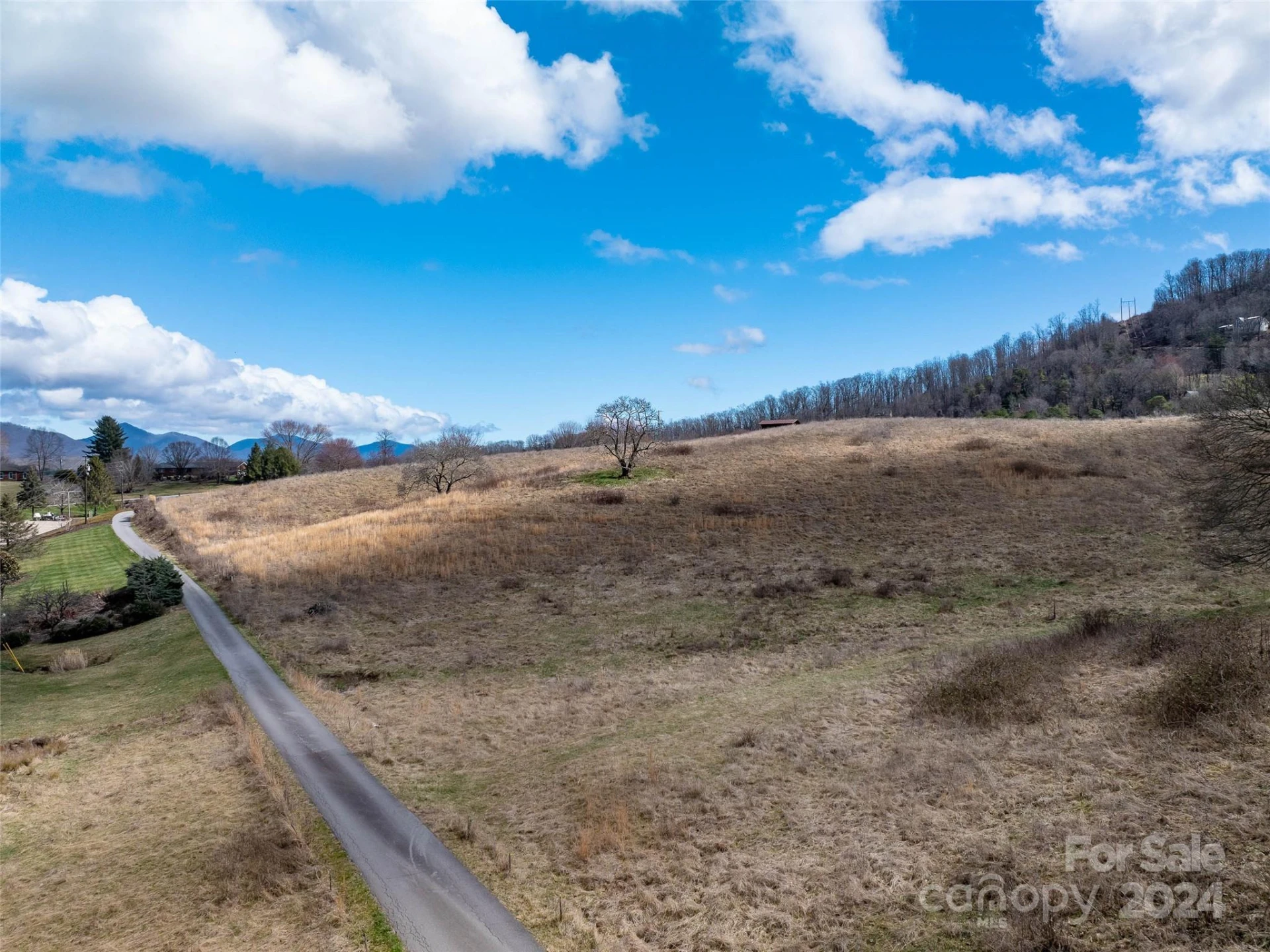 00 Belmont Drive - Photo 5