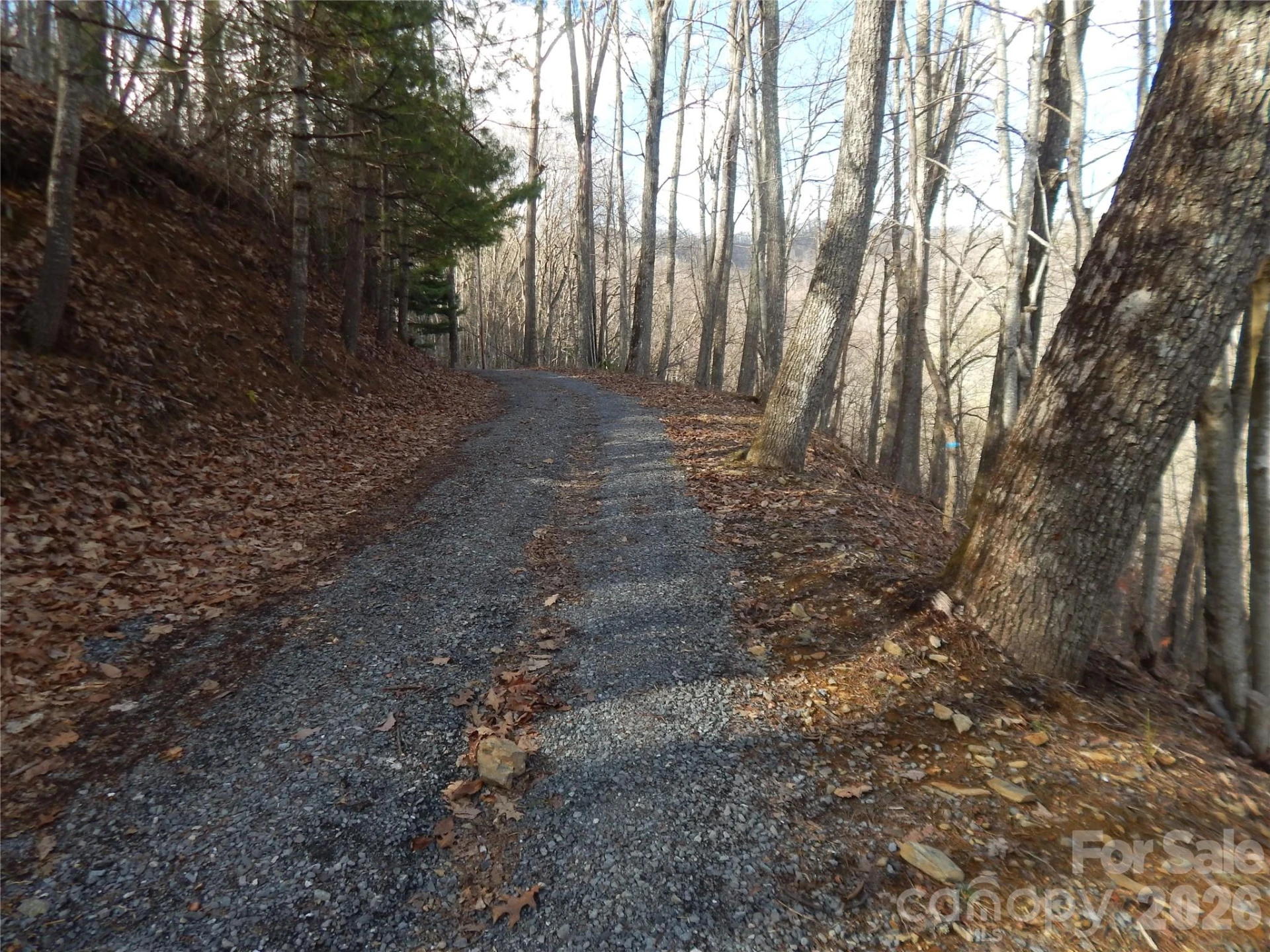 00 Hoot Owl Bill Road - Photo 21