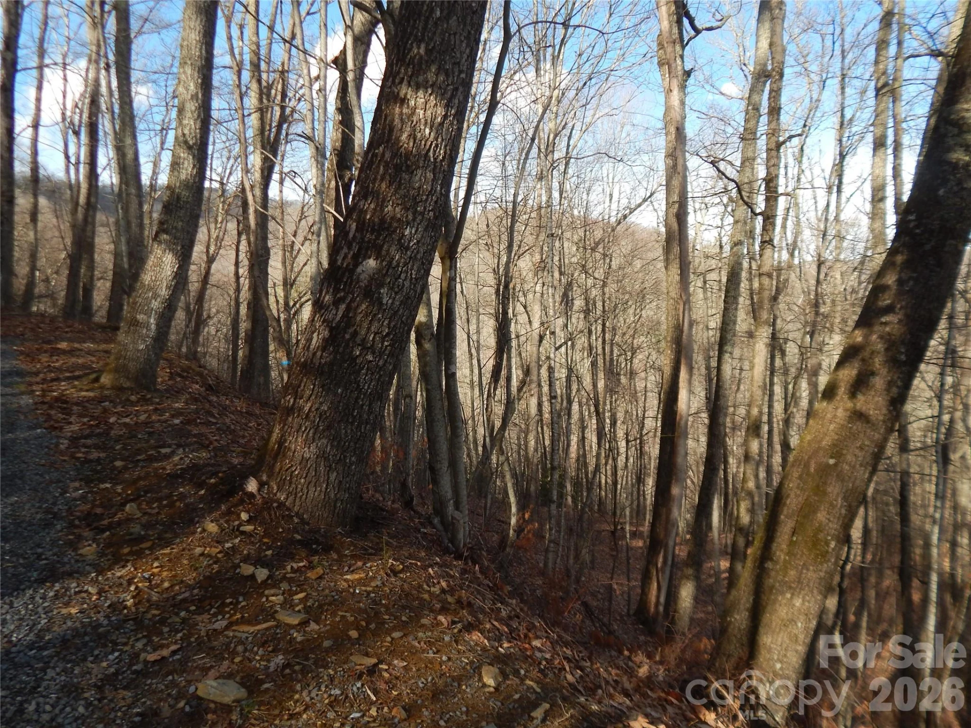 00 Hoot Owl Bill Road - Photo 22