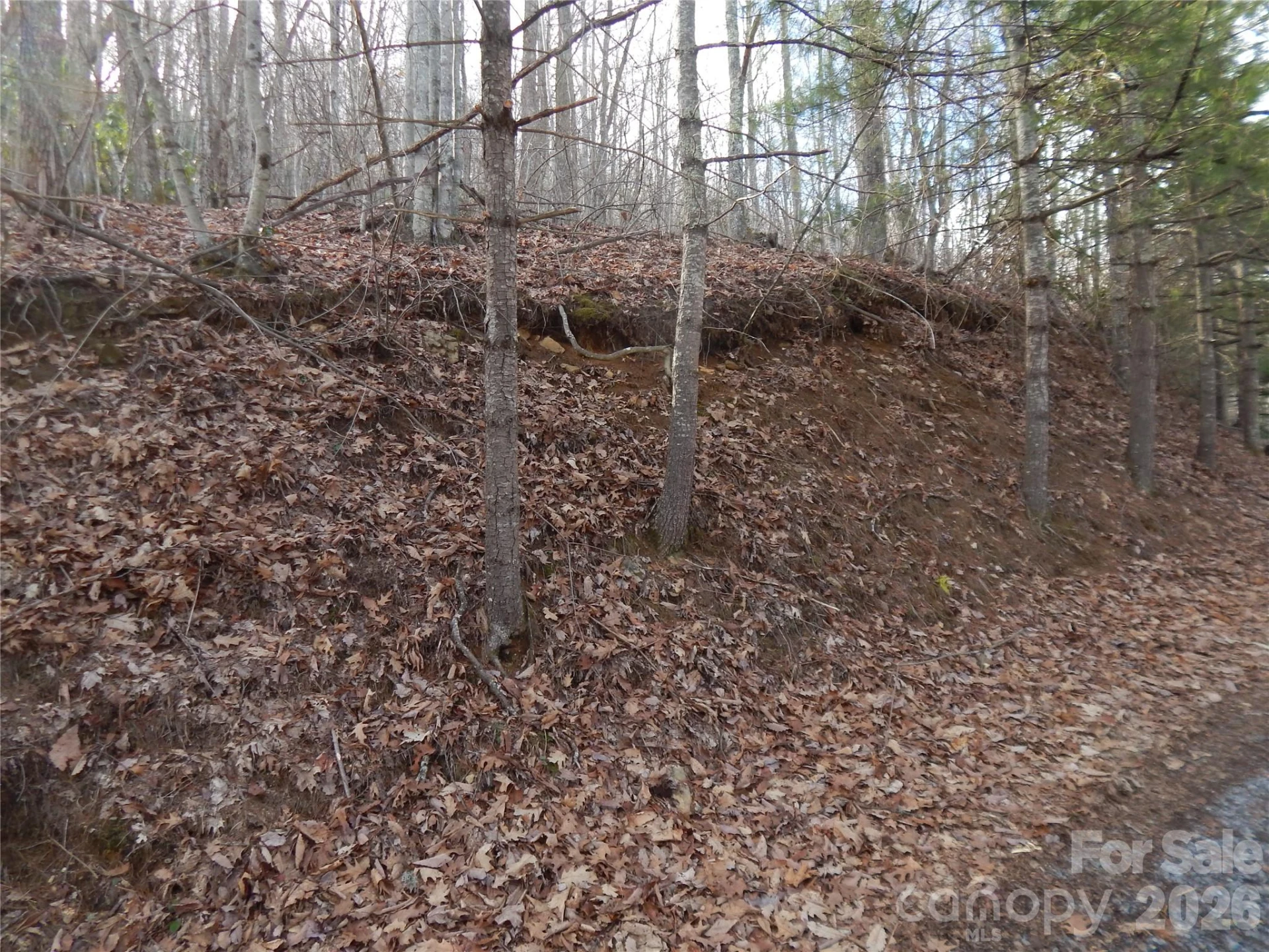 00 Hoot Owl Bill Road - Photo 23