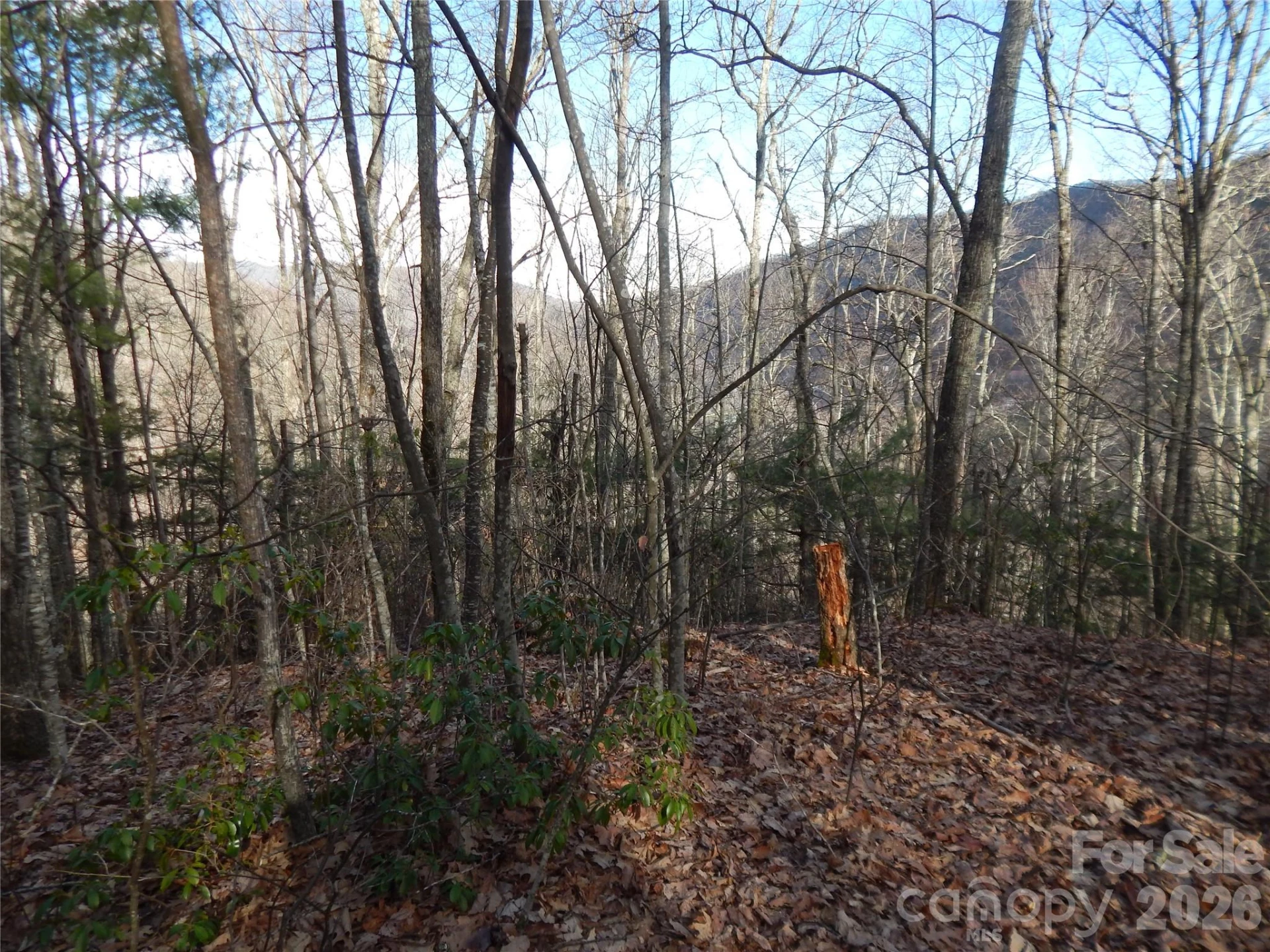 00 Hoot Owl Bill Road - Photo 25
