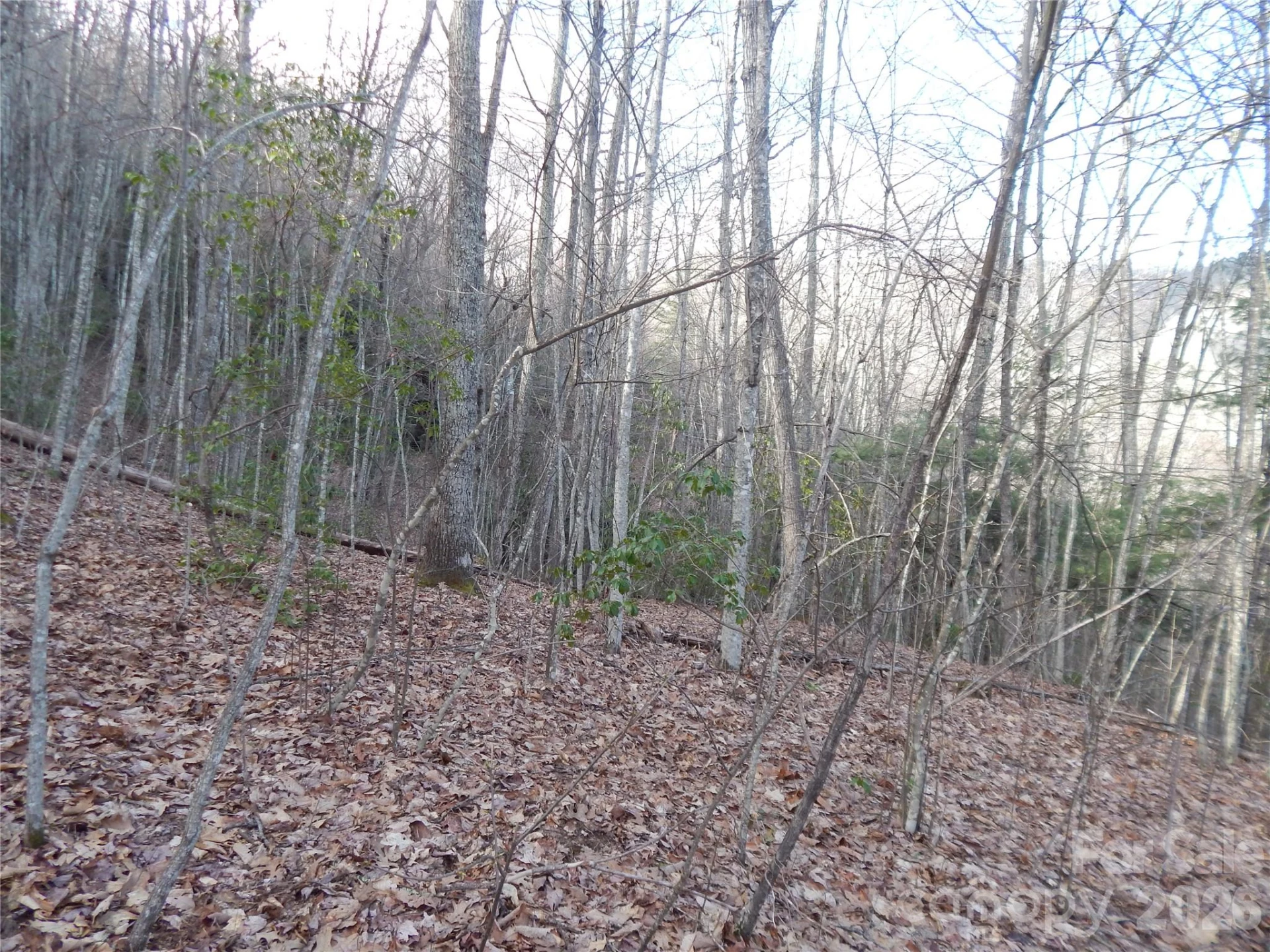 00 Hoot Owl Bill Road - Photo 30
