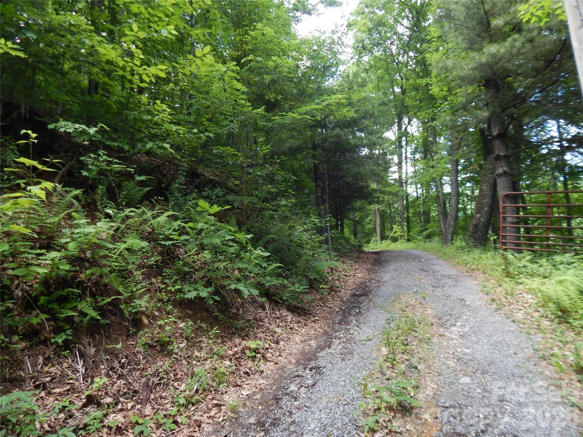 00 Hoot Owl Bill Road - Photo 5