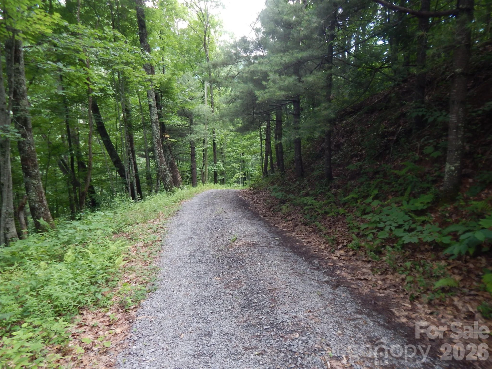 00 Hoot Owl Bill Road - Photo 7