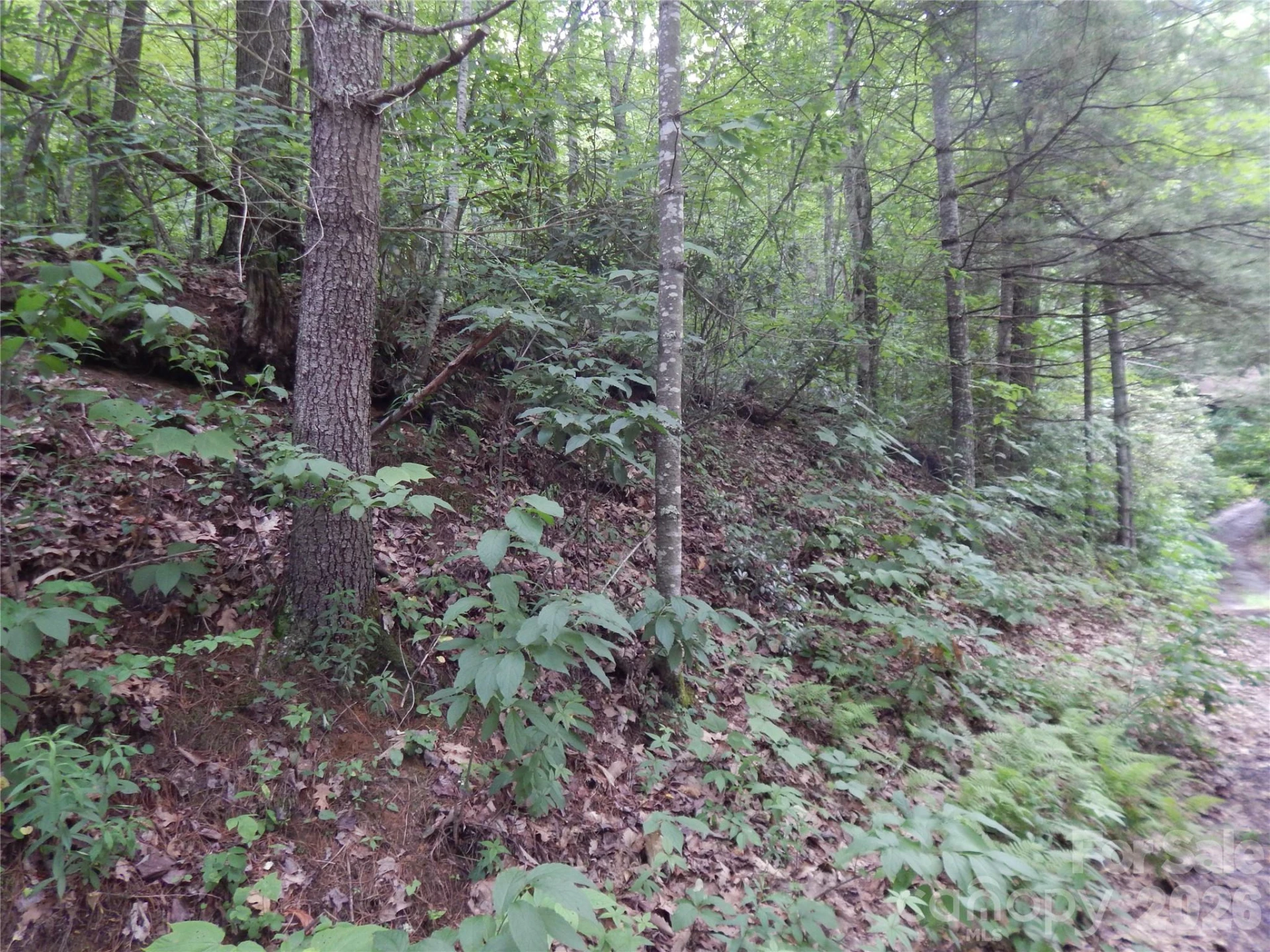 00 Hoot Owl Bill Road - Photo 35