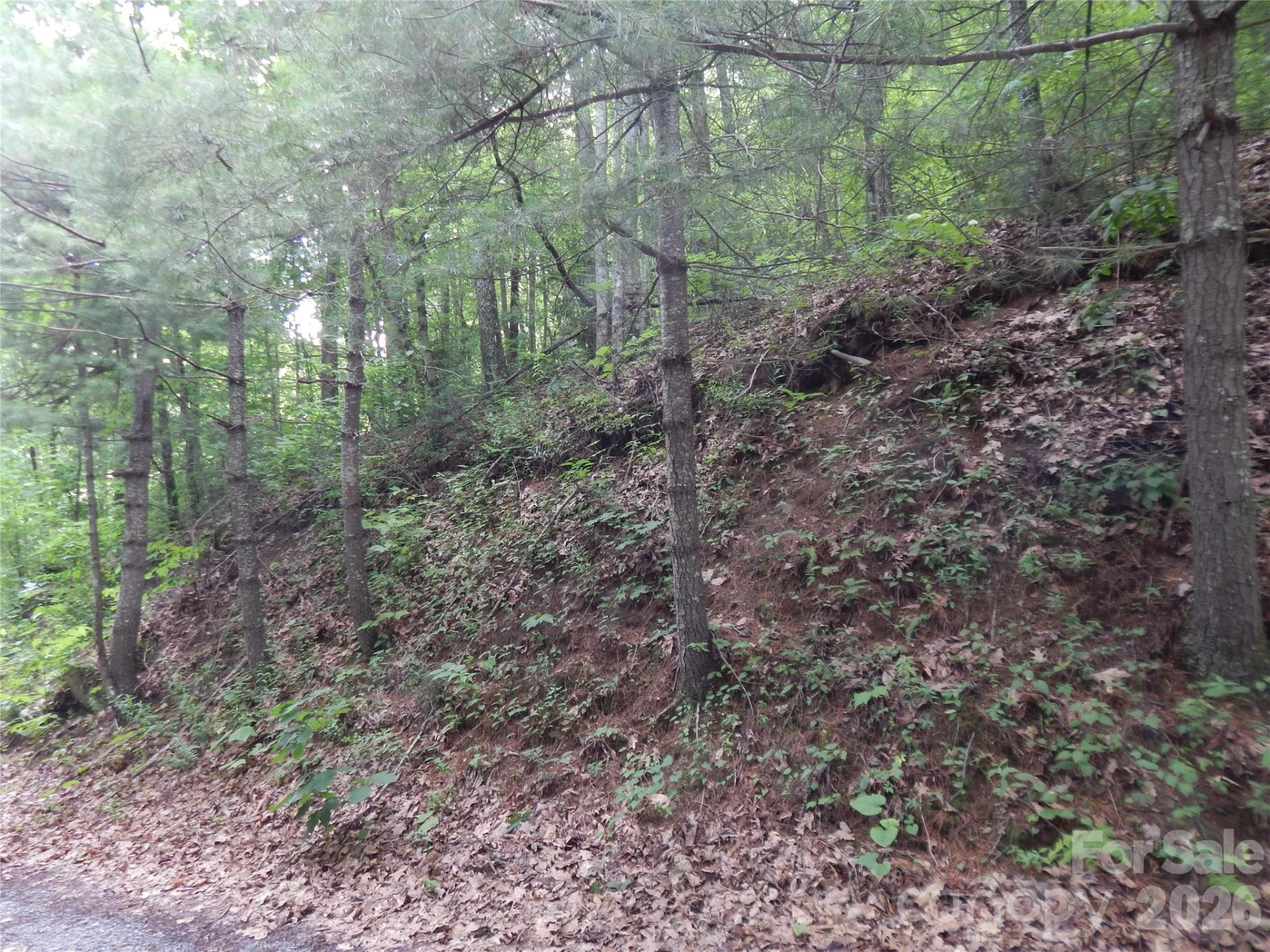 00 Hoot Owl Bill Road - Photo 36