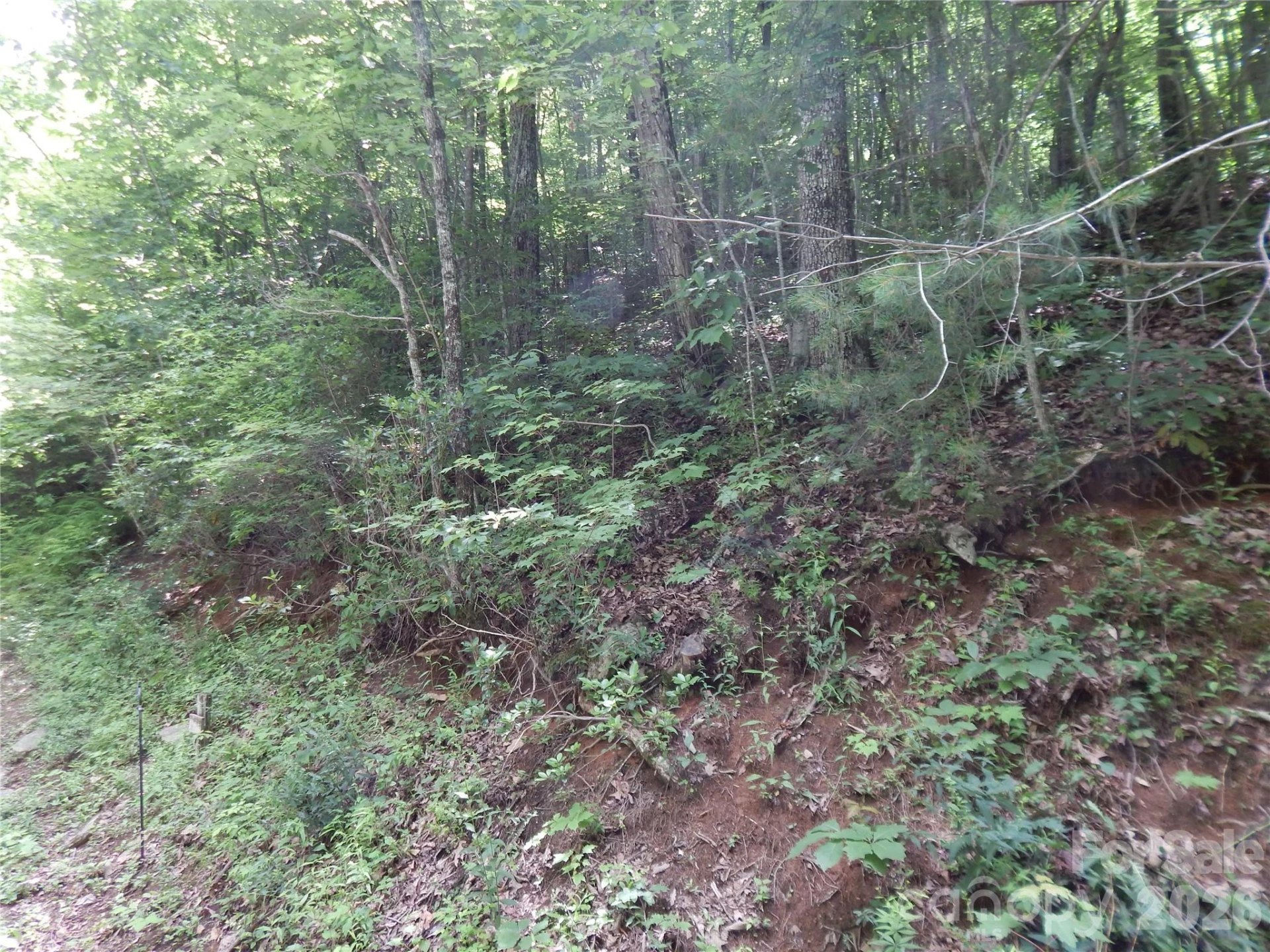00 Hoot Owl Bill Road - Photo 37
