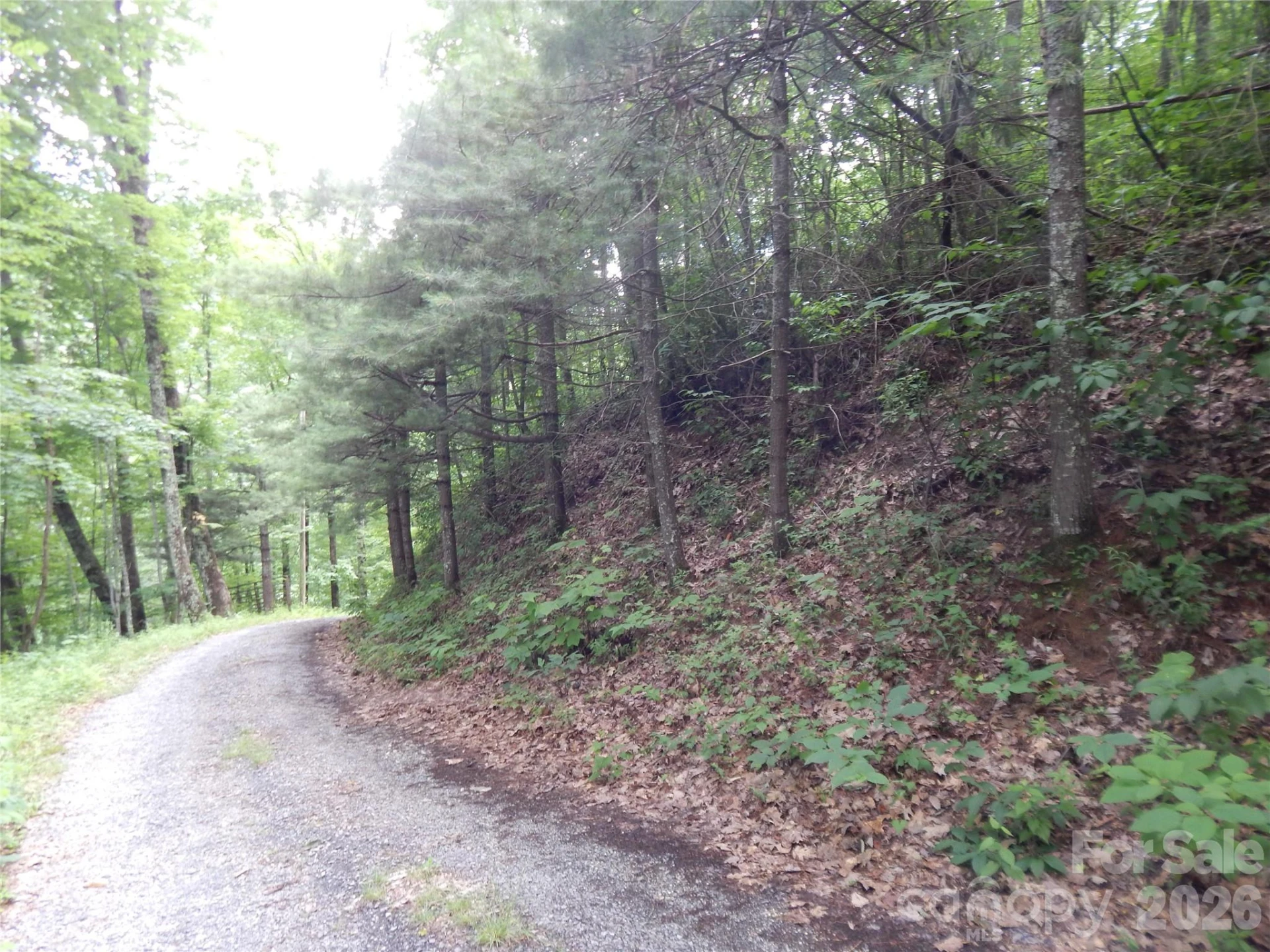 00 Hoot Owl Bill Road - Photo 9