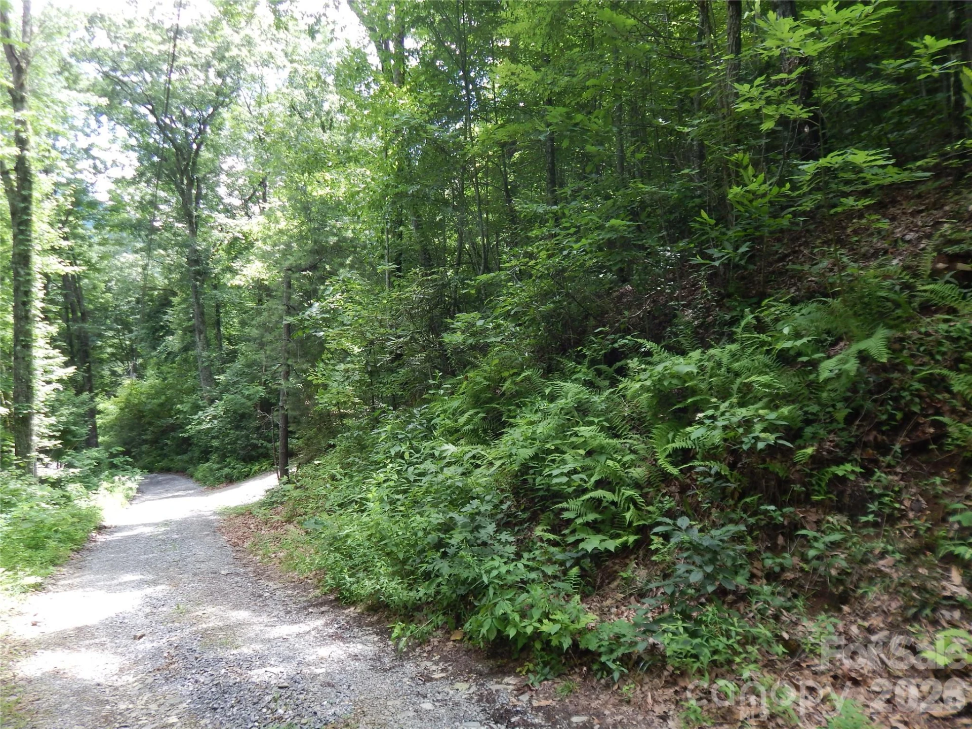 00 Hoot Owl Bill Road - Photo 11