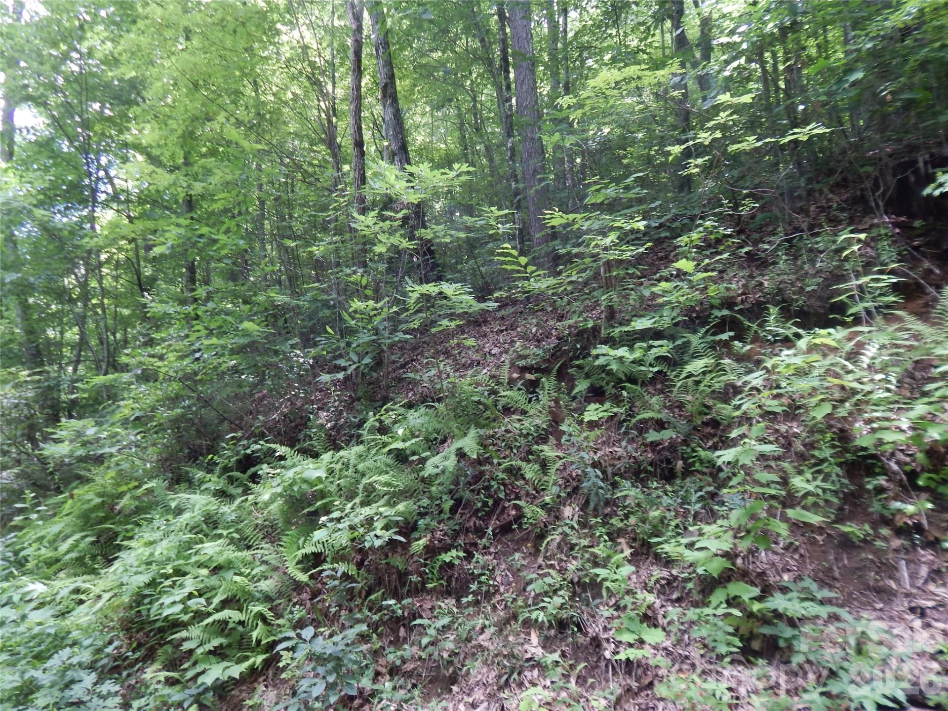 00 Hoot Owl Bill Road - Photo 15