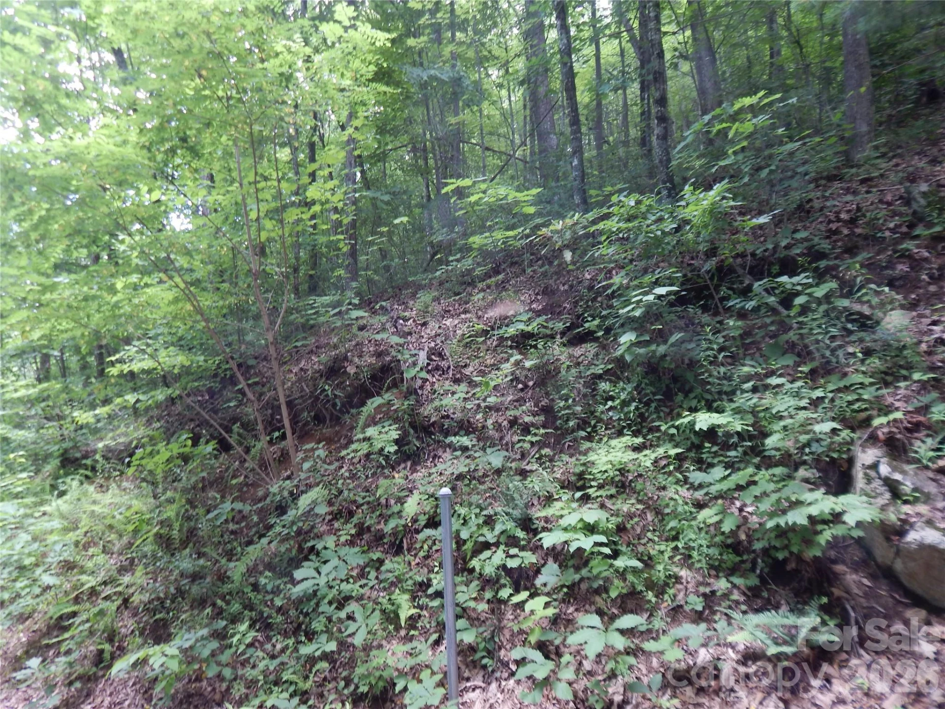 00 Hoot Owl Bill Road - Photo 17
