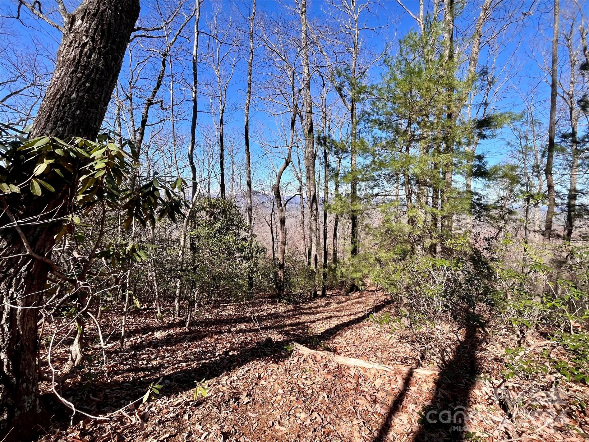 Lot 147 Big View Drive - Photo 17
