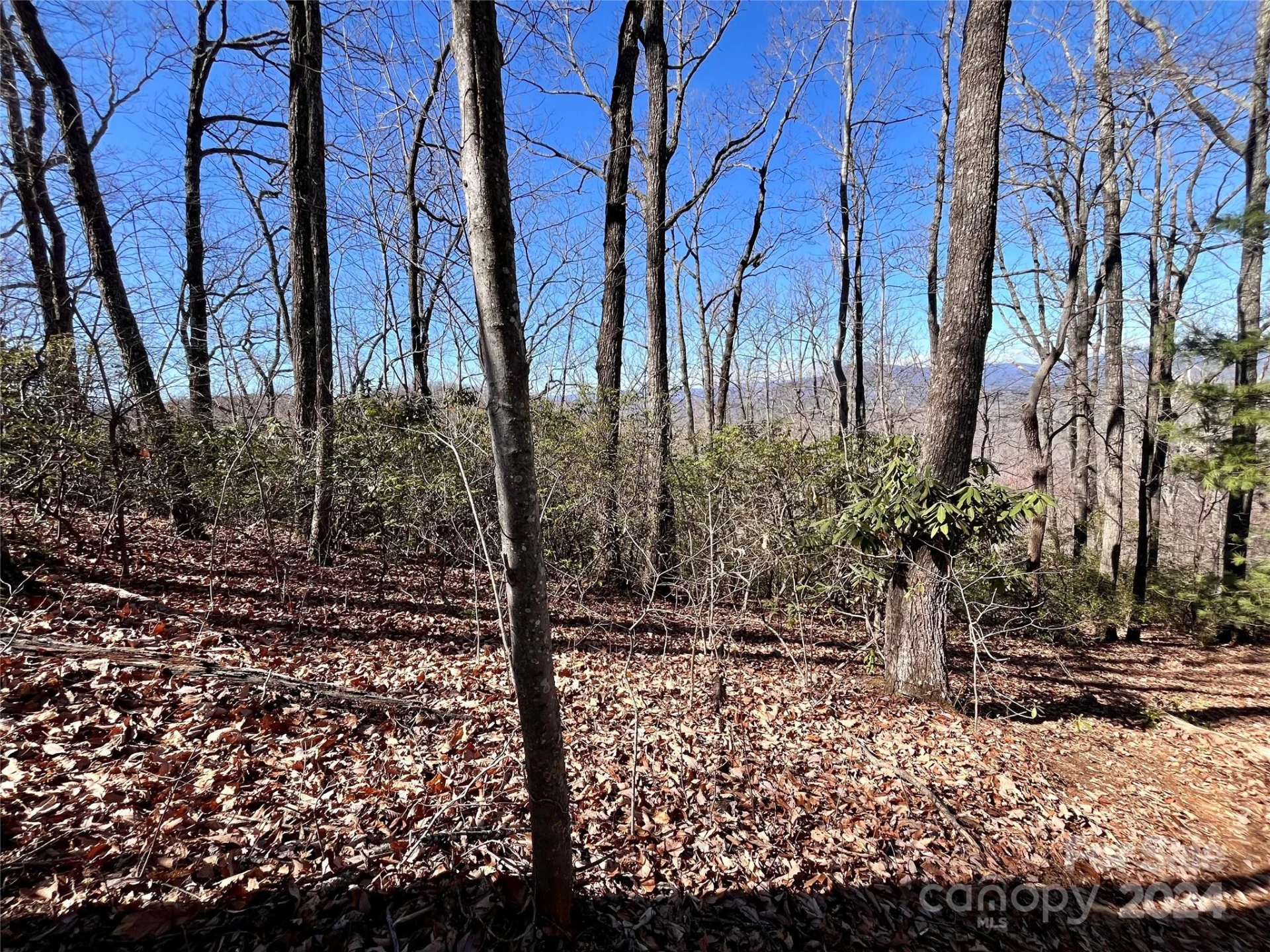 Lot 147 Big View Drive - Photo 18