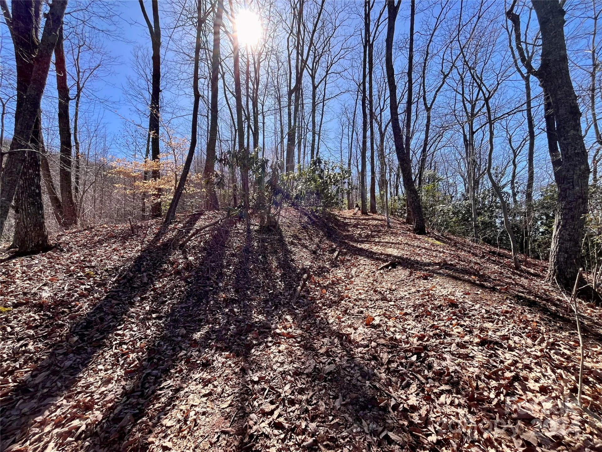 Lot 147 Big View Drive - Photo 29
