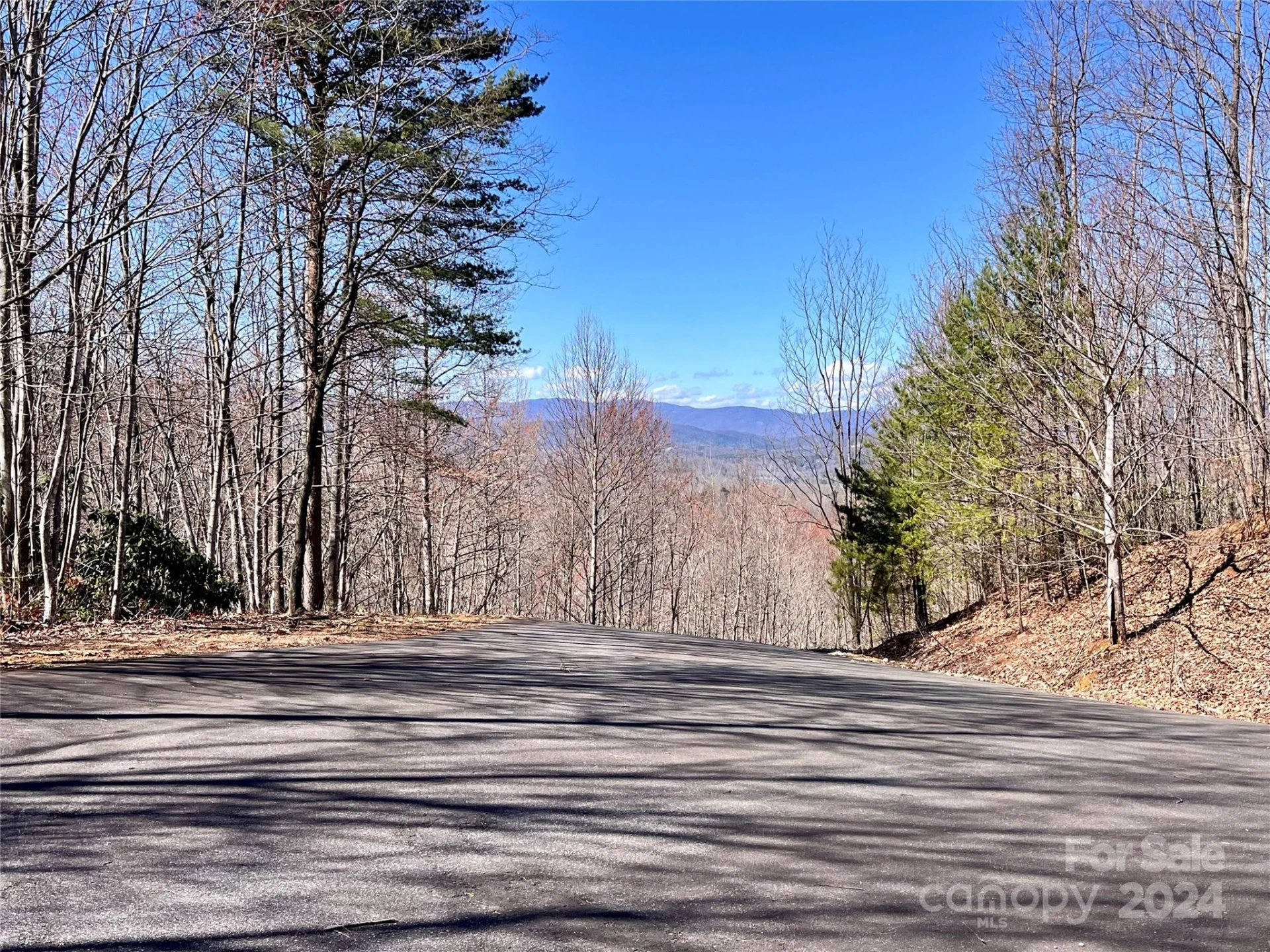 Lot 147 Big View Drive - Photo 43