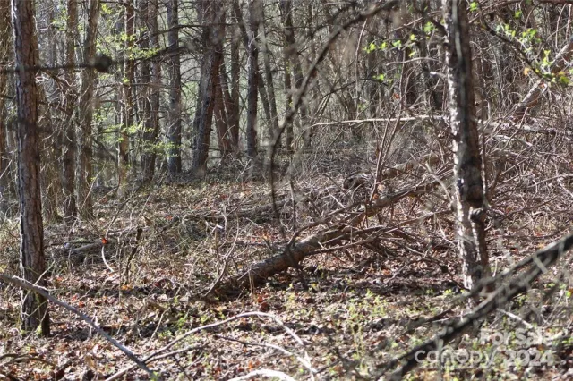 Lot 30 Laurel Valley Drive