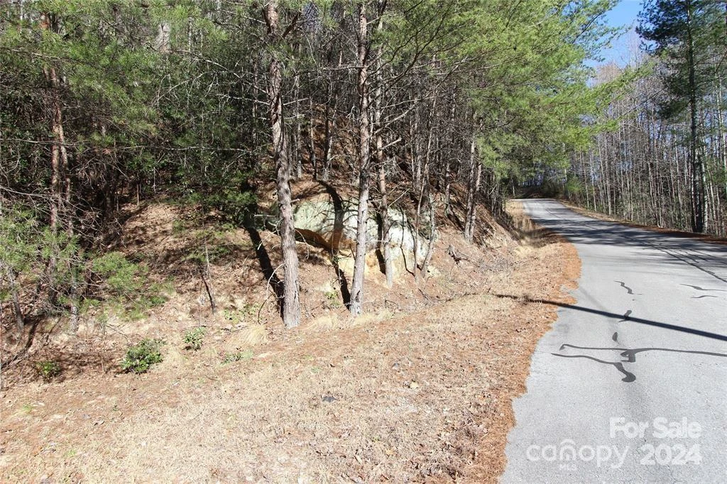 Lot 30 Laurel Valley Drive - Photo 5