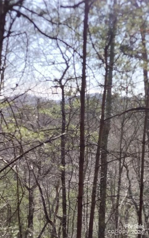 Lot 30 Laurel Valley Drive - Photo 7