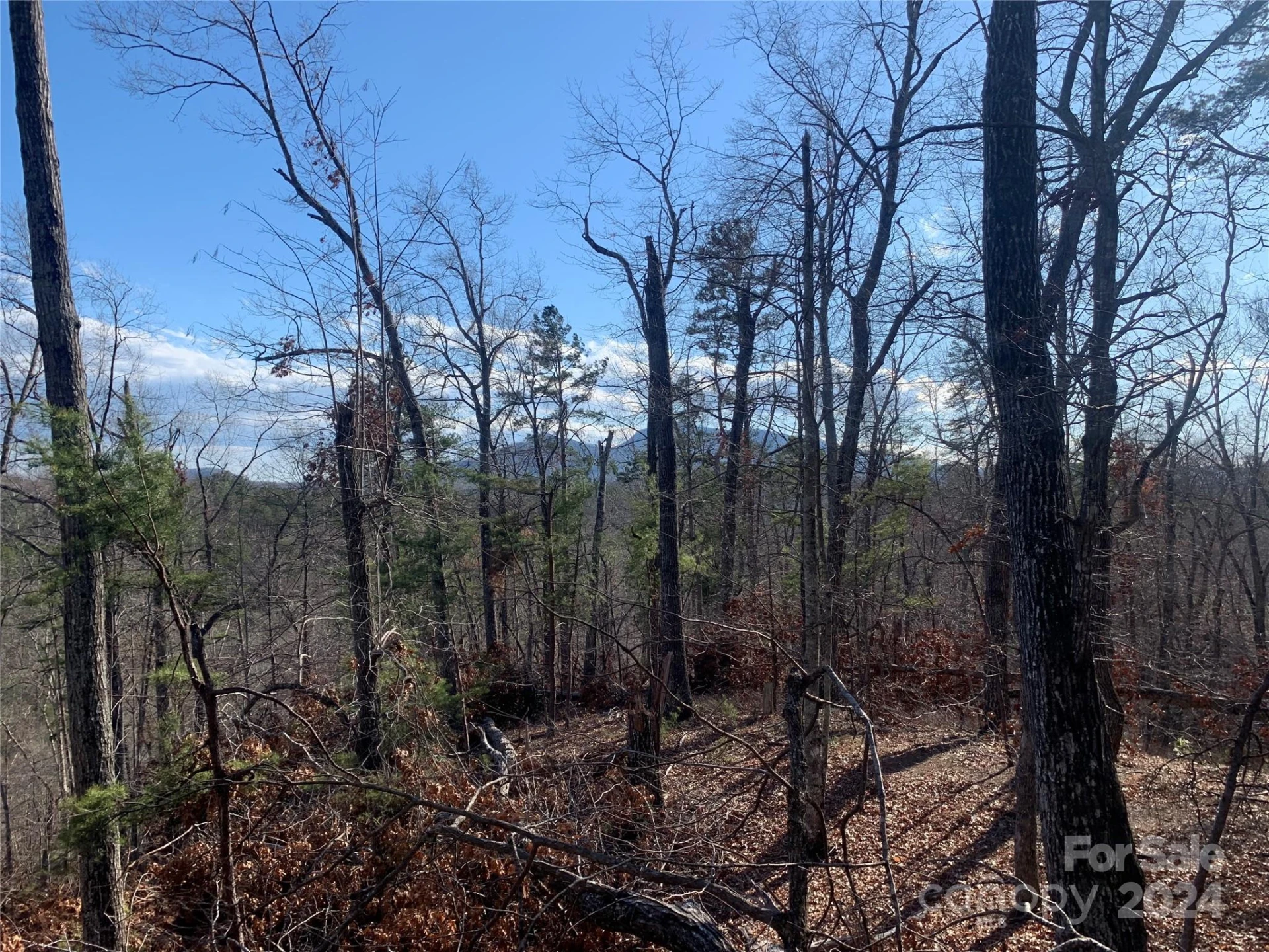 0 N Lynch Road SW - Photo 8