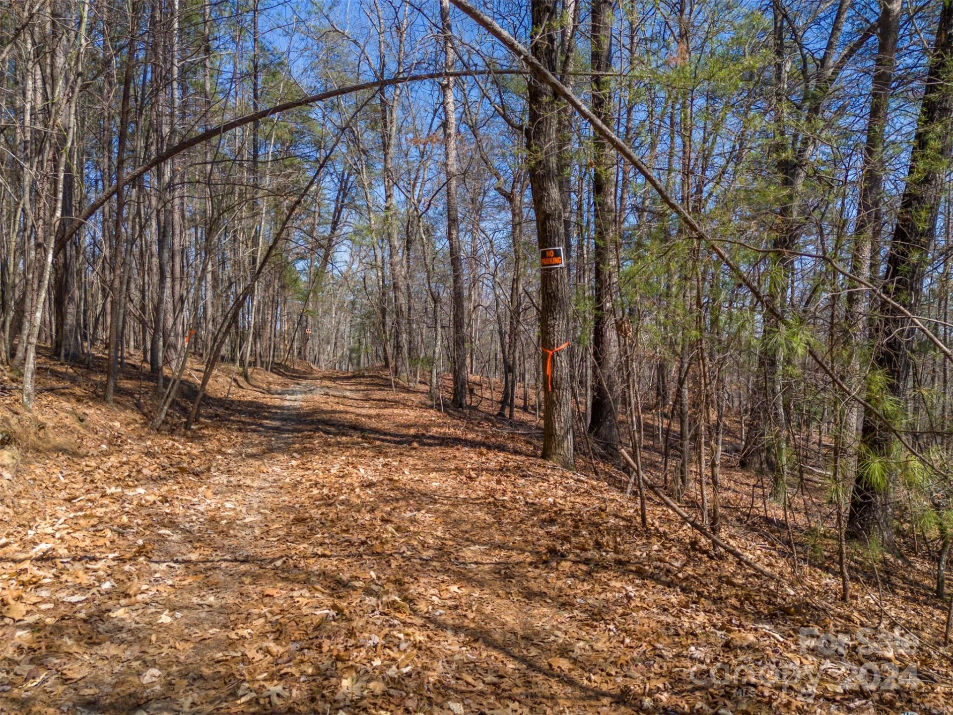 0 N Lynch Road SW - Photo 9