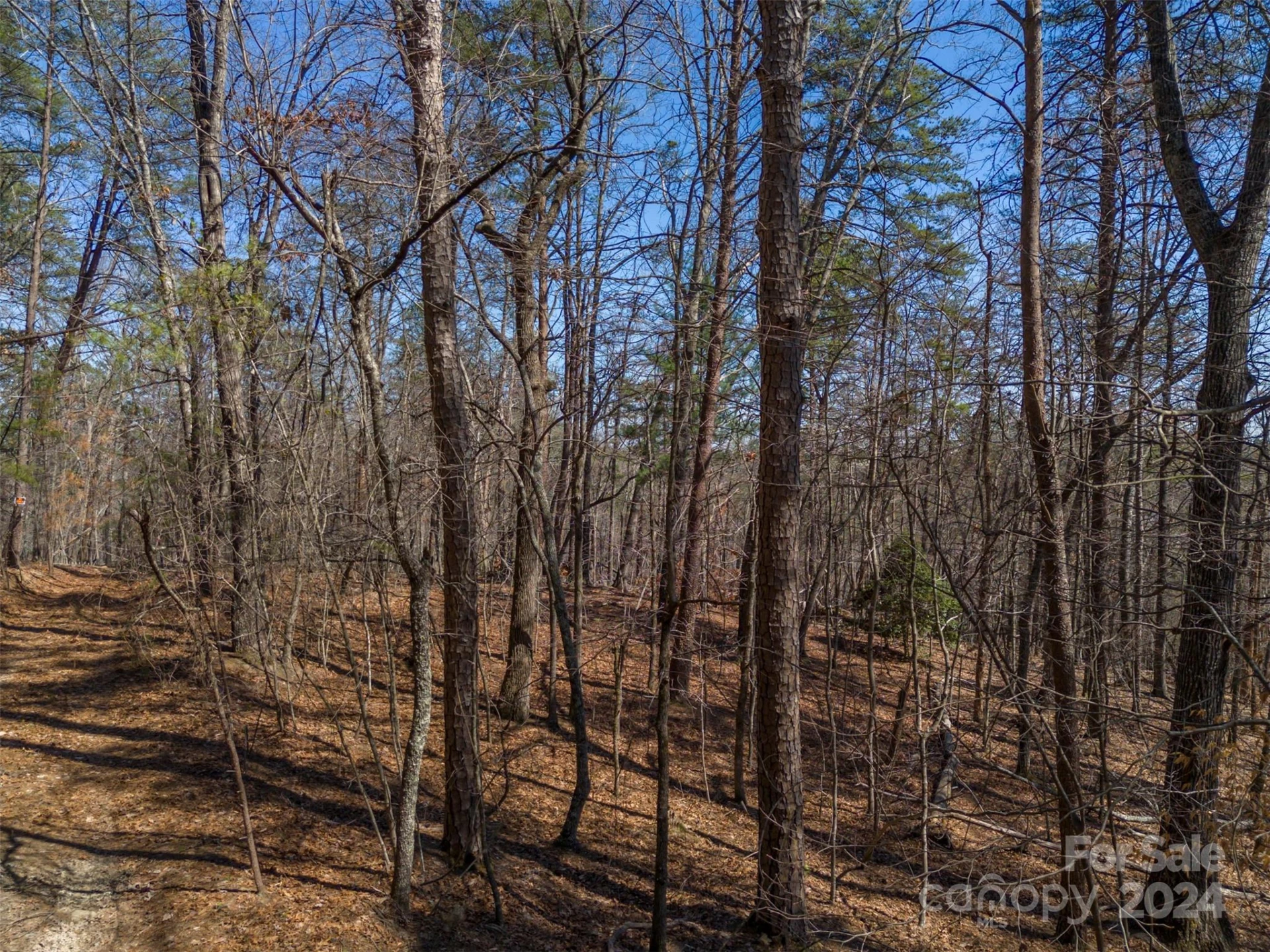 0 N Lynch Road SW - Photo 10