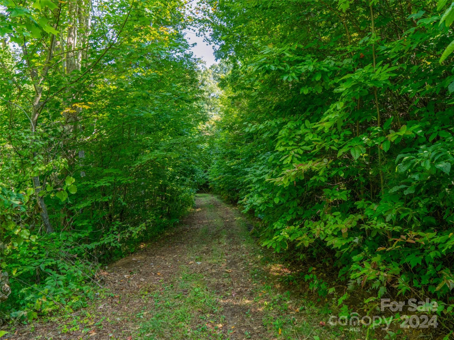 00000 Meadow Fork School Road - Photo 19