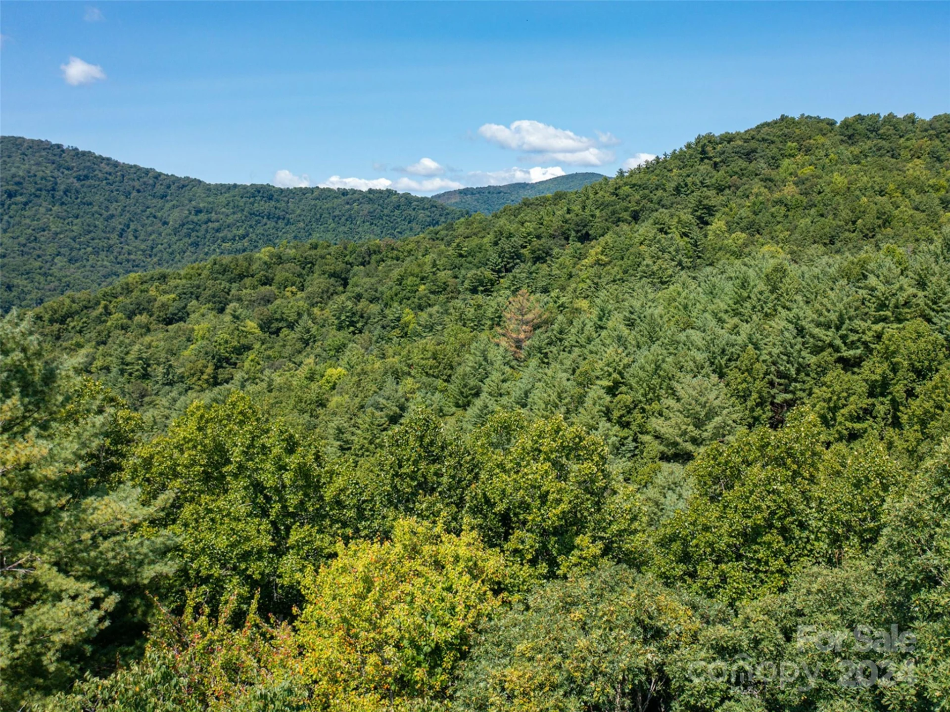 00000 Meadow Fork School Road - Photo 20